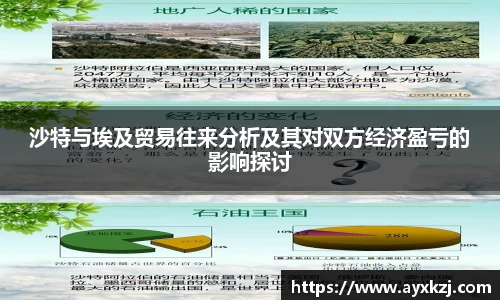 沙特与埃及贸易往来分析及其对双方经济盈亏的影响探讨