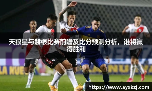 天狼星与赫根比赛前瞻及比分预测分析，谁将赢得胜利